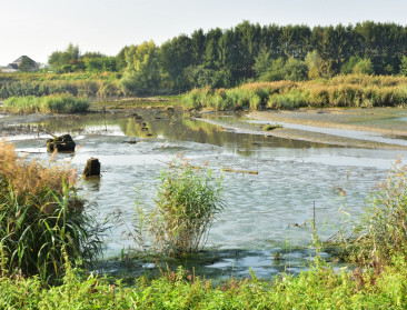 ”Waardencrisis” aan de bron van traag herstel biodiversiteit in Europese rivieren