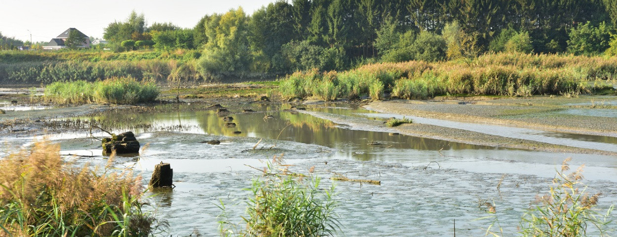 nattenatuur-water-wijmeers-sigmaplan