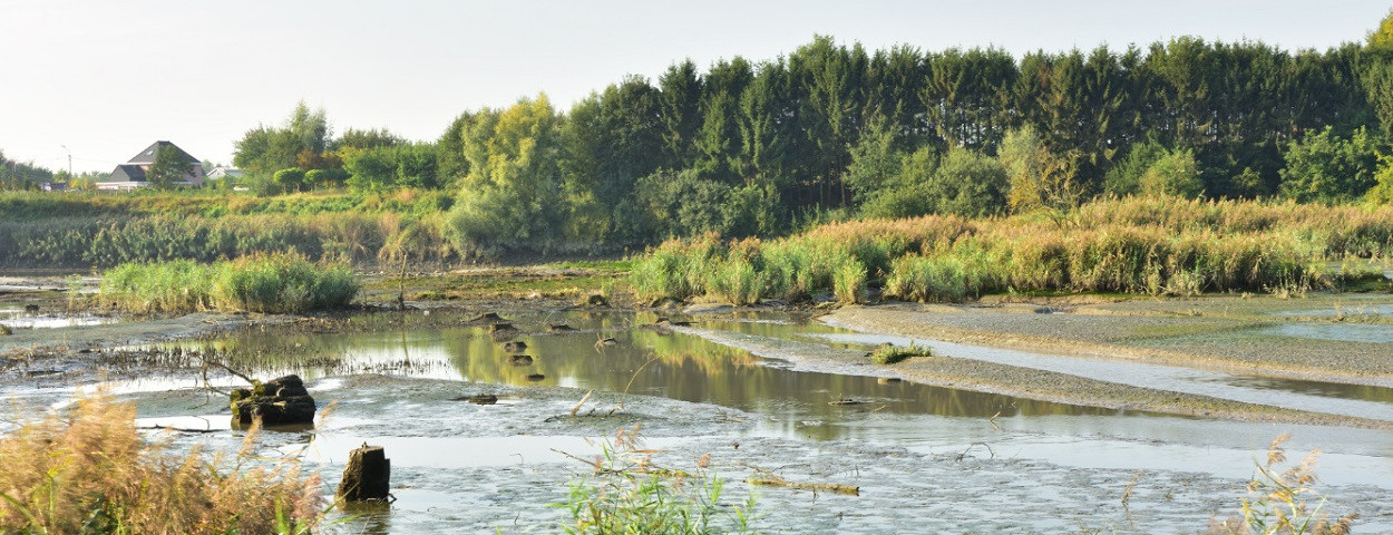 nattenatuur-water-wijmeers-sigmaplan