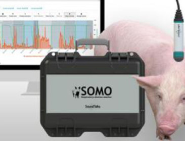 Duitse farmareus investeert in hoestmonitor bij varkens