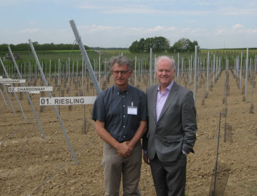 Proefveld professionaliseert ondersteuning aan wijnbouw