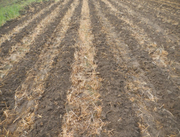 Praktijkervaring naar waarde geschat in erosieproject