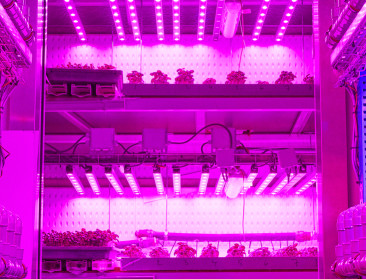 Colruyt Group ontwikkelt eigen ‘vertical farm’