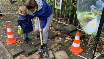 Landelijke Gilden draagt een steentje bij tot ontharding Vlaamse tuinen