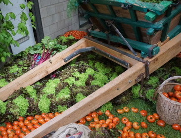 Tweede editie van korte-ketenweek in West-Vlaanderen