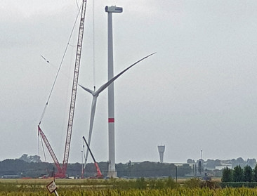 Bolt introduceert korte keten in de energiesector