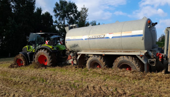 Boerenbond wil aangepast mestbeleid bij herziening Europese nitraatrichtlijn