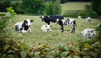 Nieuw tussentijds EU-klimaatdoel: 90 procent minder broeikasgassen tegen 2040