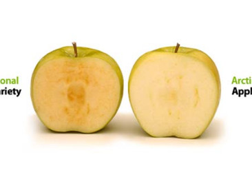 Kan ggo-appel Amerikaanse consument overtuigen?