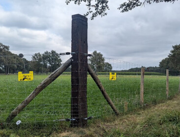 Aanvragen voor wolfwerende omheiningen worden binnen de week afgehandeld