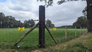 Aanvragen voor wolfwerende omheiningen worden binnen de week afgehandeld