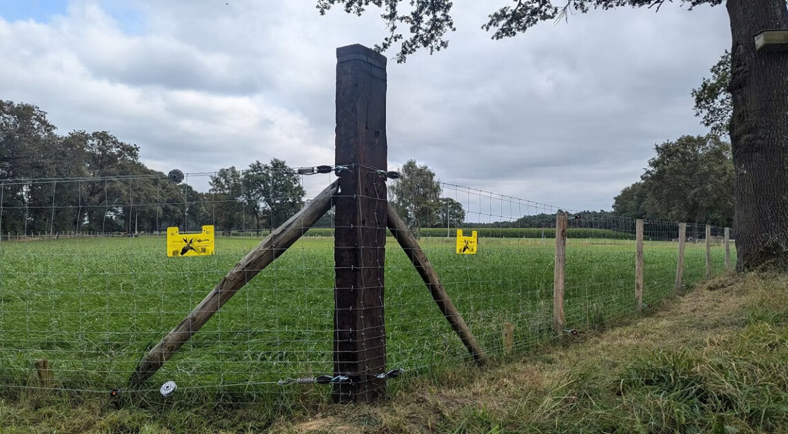 Ondanks stijgende vraag geen Limburgse subsidies meer voor Wolf Fencing ...
