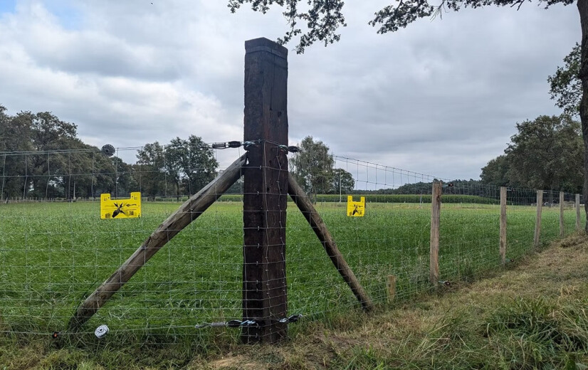Ondanks stijgende vraag geen Limburgse subsidies meer voor Wolf Fencing Team