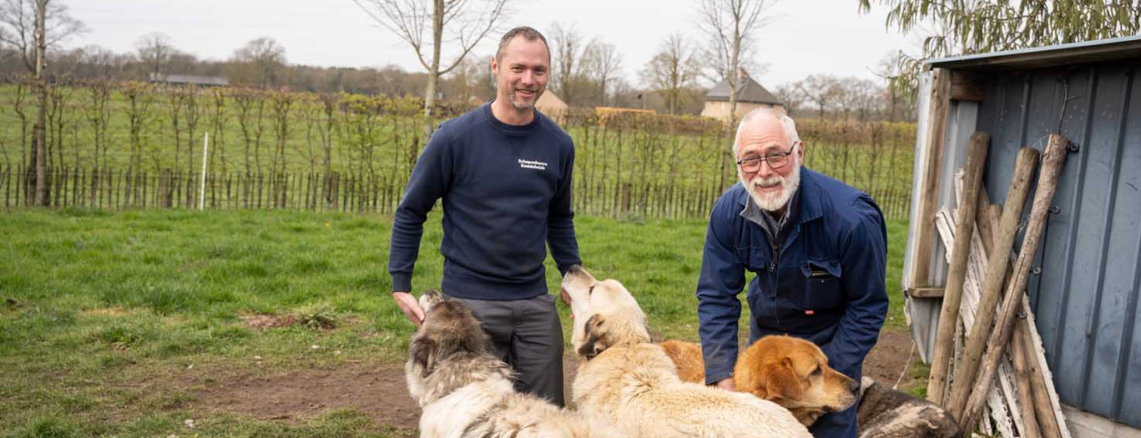 Honden Schouteden