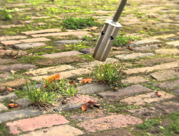 "Branden van onkruid is nefast voor biodiversiteit"