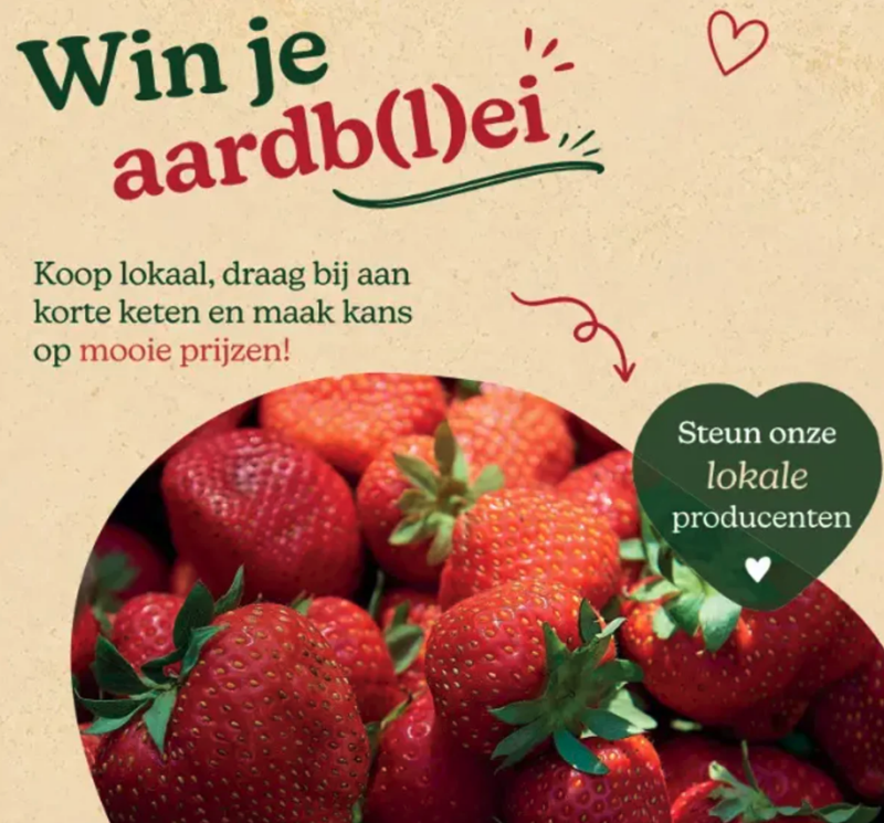 winjeaardblei_Campagne_VL_BR