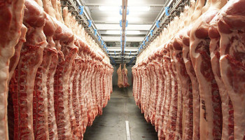 Sociale fraude bij onderaannemers vleessector: “Zal niet stoppen zolang personeelstekort blijft aanhouden”