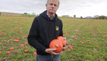 Lidl verlost bioboer van pompoenenoverschot