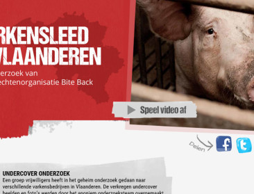 Rechter verklaart zich onbevoegd in zaak Bite Back