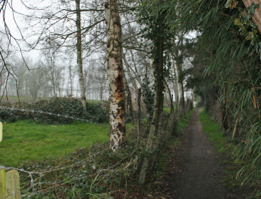 177 gemeenten gebruiken minder dan 1 kilo pesticiden