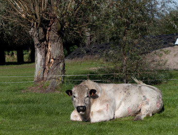 Straffe anekdotes uit 50 jaar landbouwjournalistiek