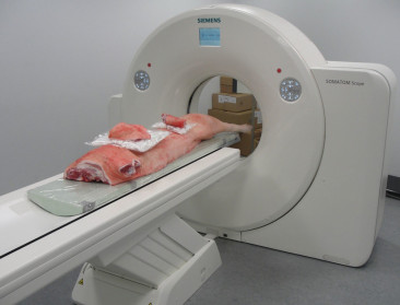 Kwaliteitsbepaling varkenskarkas