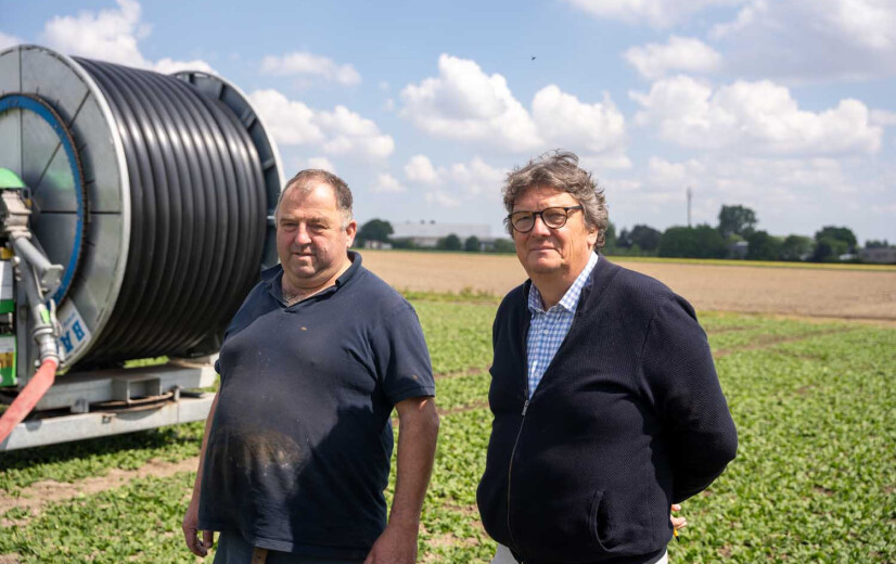 Regels verpletteren de boer: "Administratie zwaarder dan de oogst"