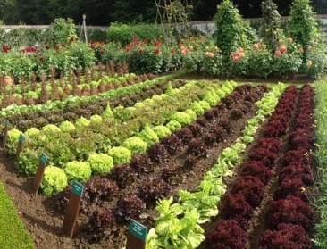 Bioforum: “MAP7 wringt biolandbouw in Vlaanderen meedogenloos de nek om”