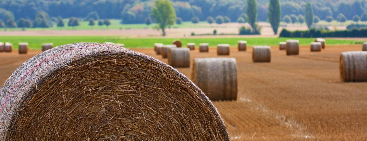 landbouwgrondhooibalen
