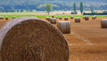 Pacht landbouwgrond op tien jaar met een derde gestegen