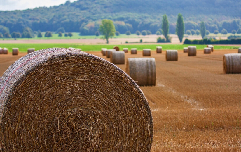 Pacht landbouwgrond op tien jaar met een derde gestegen