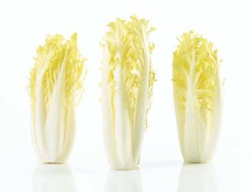 Gouden Tavola voor BelOrta's Friseline