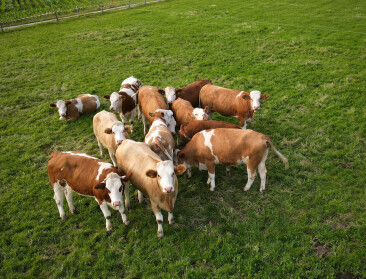 Blokkerende meerderheid groeit tegen EU-hervorming van landbouwsubsidies