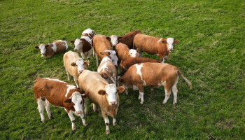 Blokkerende meerderheid groeit tegen EU-hervorming van landbouwsubsidies