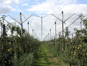 Risicobeheer op landbouwbedrijf is maatwerk