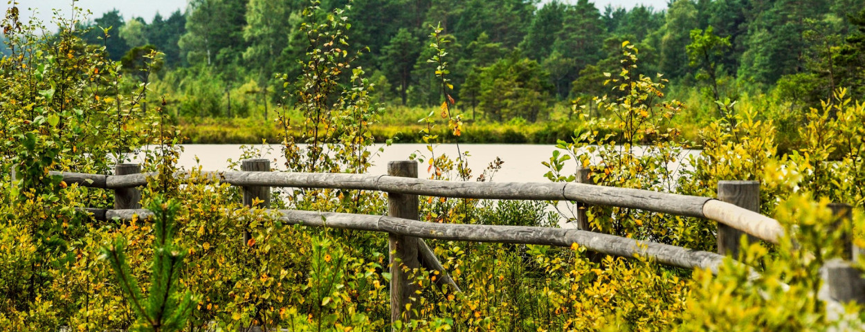 natuur wandelen hek_unsplash