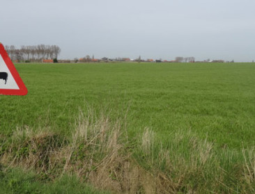 Discussie over omvang van veestapel barst weer los