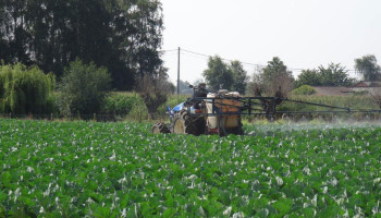 Rekenhof fileert Waals pesticidebeleid: ambitieus op papier, maar gebrekkig in uitvoering