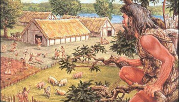 Belgen en Nederlanders begonnen later aan landbouw dan rest van Europa, blijkt uit DNA-studie