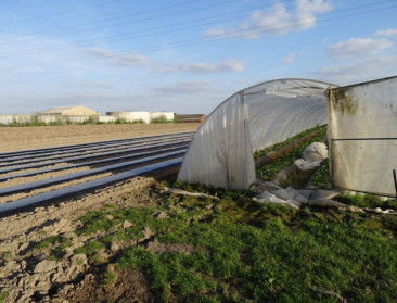Slecht weer in 2016 remde vooral Ingro & veiling Wépion