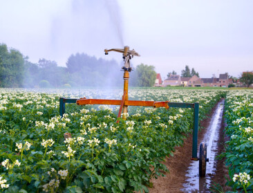 Boerenbond en Fevia moedigen hergebruik van water uit voedingsbedrijven in de landbouw aan