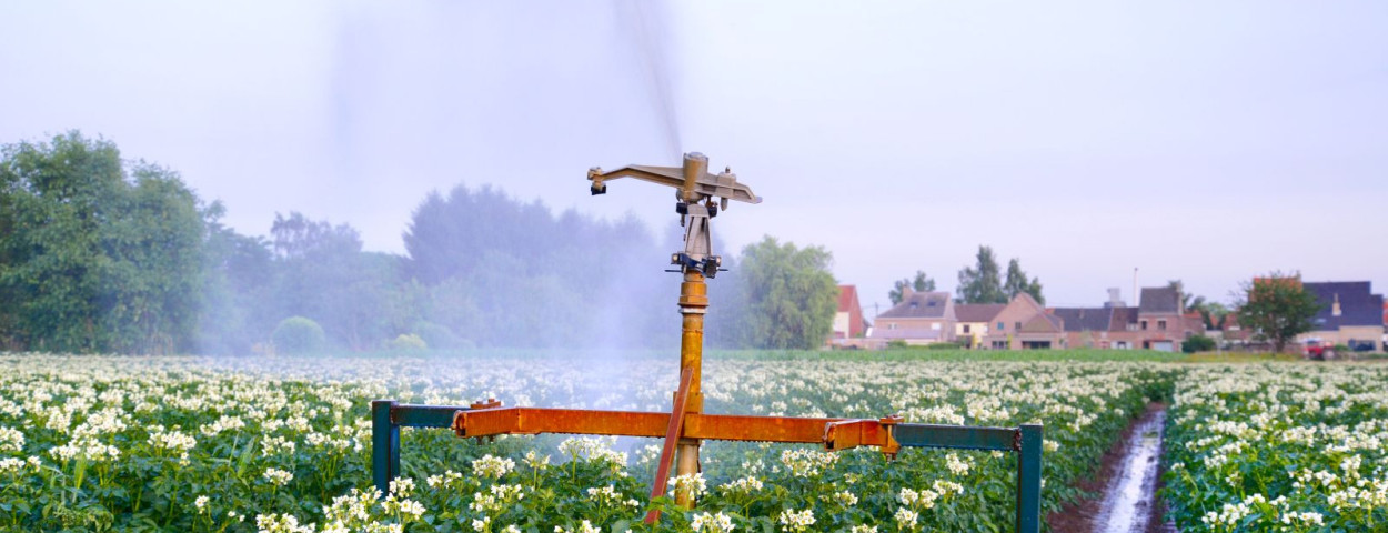 water irrigatie beregening droogte_Boerenbond en Fevia