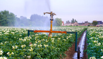 Boerenbond en Fevia moedigen hergebruik van water uit voedingsbedrijven in de landbouw aan