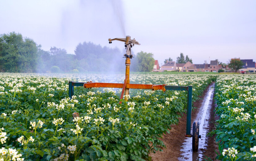 Boerenbond en Fevia moedigen hergebruik van water uit voedingsbedrijven in de landbouw aan