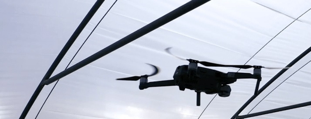 drone-aardbeiteelt-flandersMake-1250