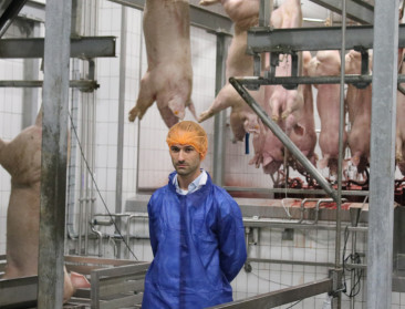 Provincie keurt uitbreiding slachthuis Tielt goed