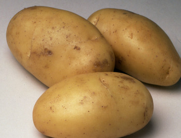 De aardappel: een groente of niet? Amerikaanse Senaat in de clinch