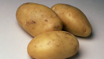 De aardappel: een groente of niet? Amerikaanse Senaat in de clinch