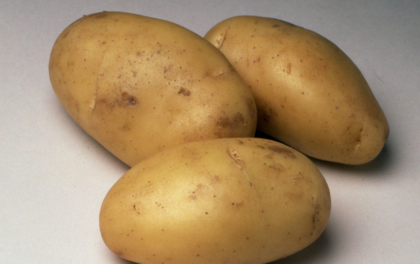 De aardappel: een groente of niet? Amerikaanse Senaat in de clinch