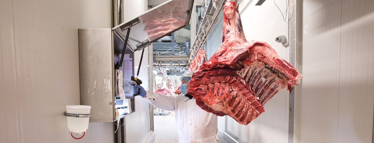 vionadriaens-slachthuis-slachtproces-1250